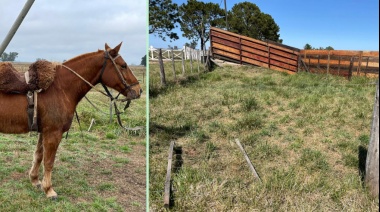 Robo de Caballos en "La Noria"