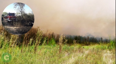 Voraz incendio de campo y reconocimiento a los bomberos