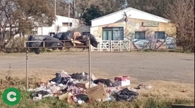 Basura en Ruta 3: “Vivimos entre ratas”