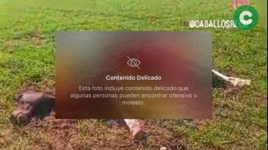Investigan la muerte de caballos en Máximo Paz