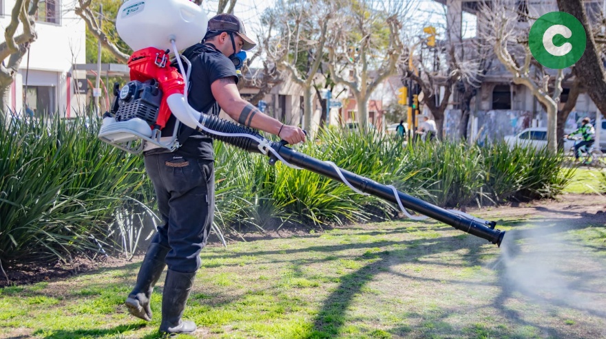 Dengue: Nuevo operativo de fumigación