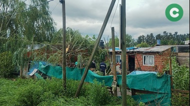 El temporal pasó por Cañuelas dejando árboles caídos y voladura de techos