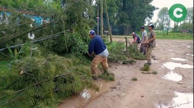 El temporal pasó por Cañuelas dejando árboles caídos y voladura de techos
