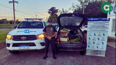 Fueron detenidos con marihuana dentro del baúl del auto