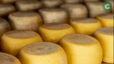 Alerta por brote de listeriosis