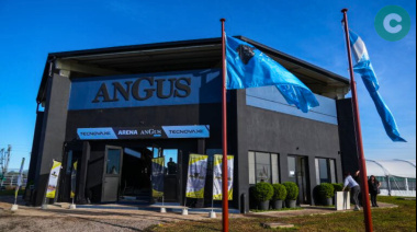 Cañuelas se prepara para la semana Angus