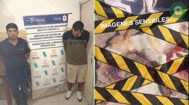 Golpeó a su ex pareja, mató al perro y agredió a una oficial que intentaba detenerlo