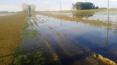 A pesar de las inundaciones Cañuelas no entró en la declaración de emergencia agropecuaria