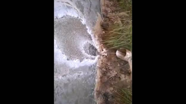 Video del Frente de Izquierda complica a Samid