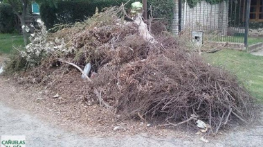 Hartos de tener basura y ramas acumuladas frente sus casas, vecinos hacen público su reclamo al municipio