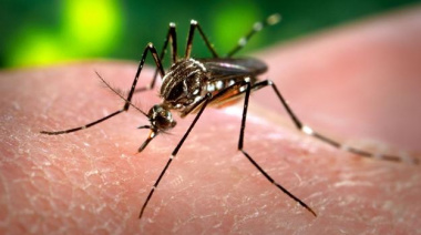Se atendió un caso de Dengue en Cañuelas
