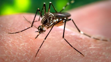 Se confirmó un caso de Dengue en Vicente Casares