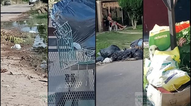Barrio 'Los Aromos': Abandono y  basura por todos lados