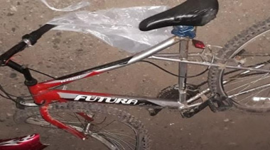 Falleció la mujer que fue embestida y abandonada en la Ruta 205