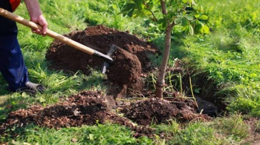 Conocé el proyecto eco del Rotary Club