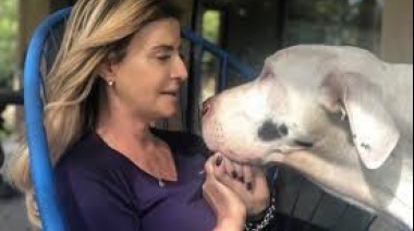 Solicitan a Marisa Fassi que vuelvan las campañas de castraciones gratuitas