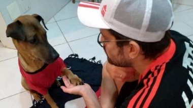 Su perro tiene cáncer y para costear el tratamiento sortea su entrada para la semifinal de Copa Libertadores