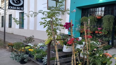 Un espacio de paz en medio de la ciudad