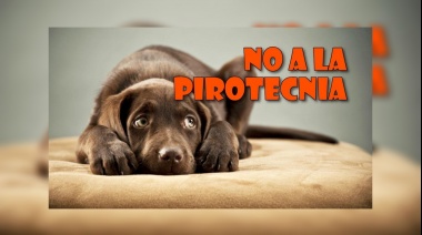#MasLucesMenosRuido: La campaña que busca evitar el uso de pirotecnia en estas fiestas
