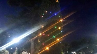 Se robaron las luces del pino de Navidad de la plaza y fueron detenidos