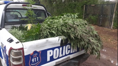 Allanamiento en Los Pozos