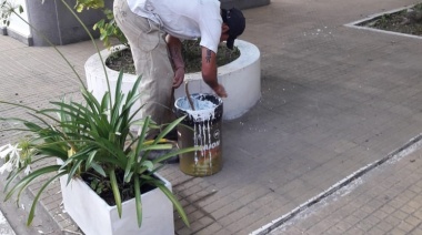 Arreglos en el Cementerio Municipal