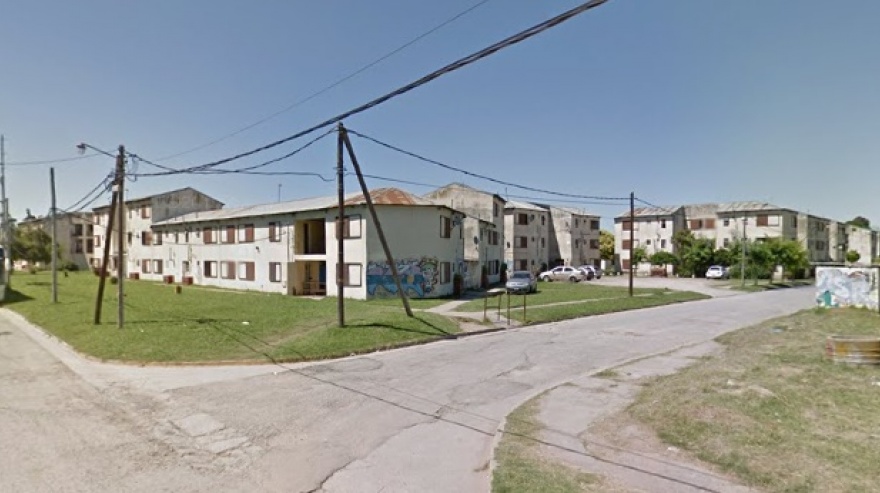 Comenzó la desratización