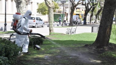 Continúa el servicio de fumigación