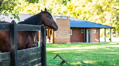 Detectan trabajo esclavo en un Club de Polo de Cañuelas 