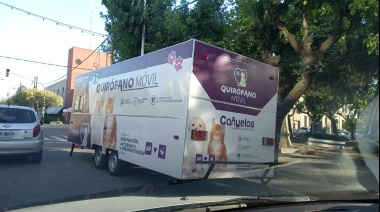 Cañuelas ya cuenta con un quirófano propio para castraciones 