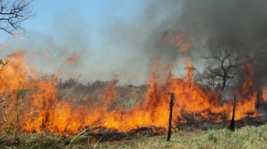 Diez salidas por incendios forestales en solo un día 