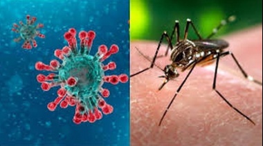 Lo que faltaba: Confirman casos de “coronadengue” y “coronasalmonella”  
