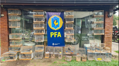 Logran rescatar más de 600 aves luego de varios allanamientos simultáneos