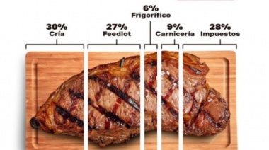 Cierran la exportación de carne por los próximos 30 días: La respuesta de la sociedad rural de Cañuelas 
