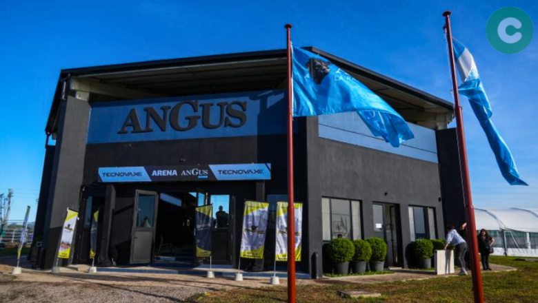 Cañuelas se prepara para la semana Angus