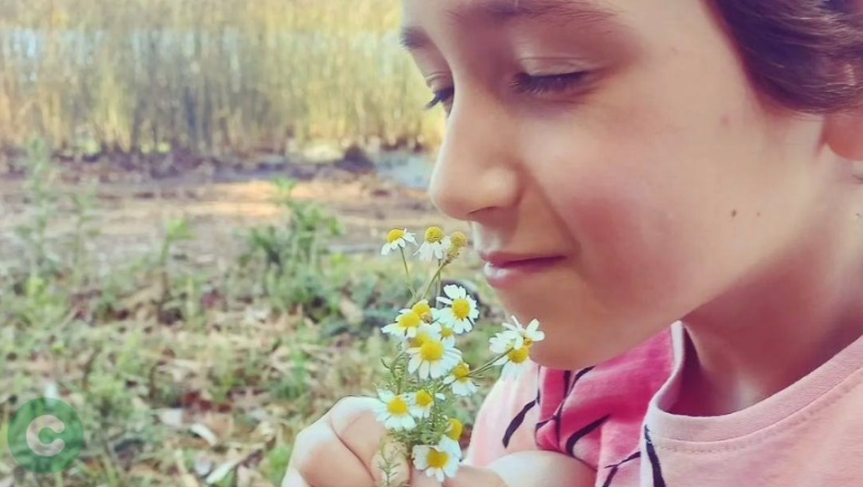A días de su fallecimiento, encuentran mensaje de Emily