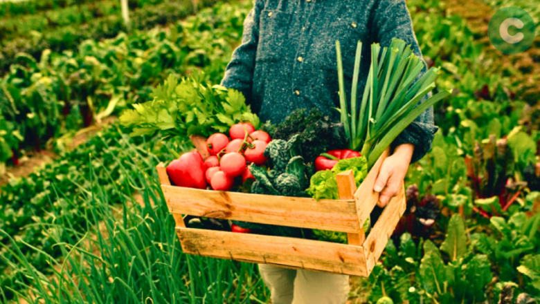 Charla abierta para emprendedores alimenticios