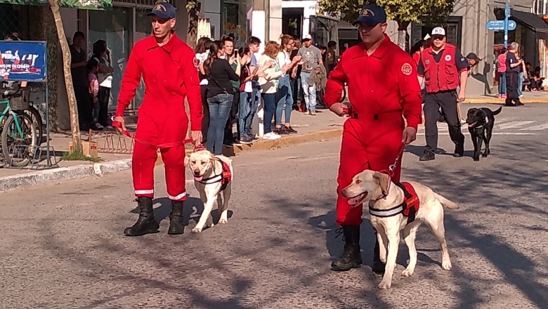 Las futuras perras rescatistas del cuartel de bomberos