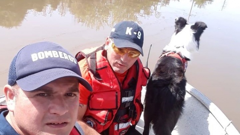 Encontraron el cuerpo del remisero: Participaron bomberos de Cañuelas