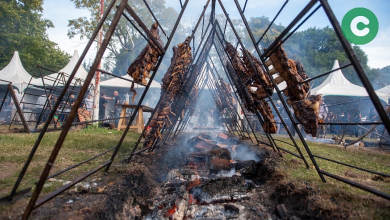 Más de 35 mil personas en la tercera Fiesta del Costillar Criollo