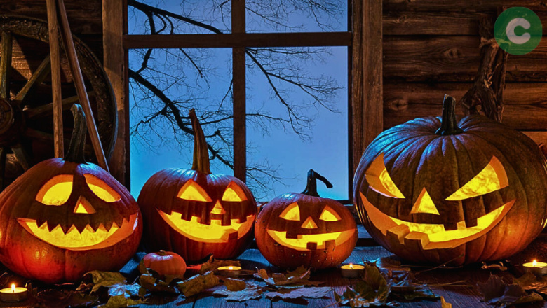 Este viernes se festeja Halloween en la plaza Belgrano