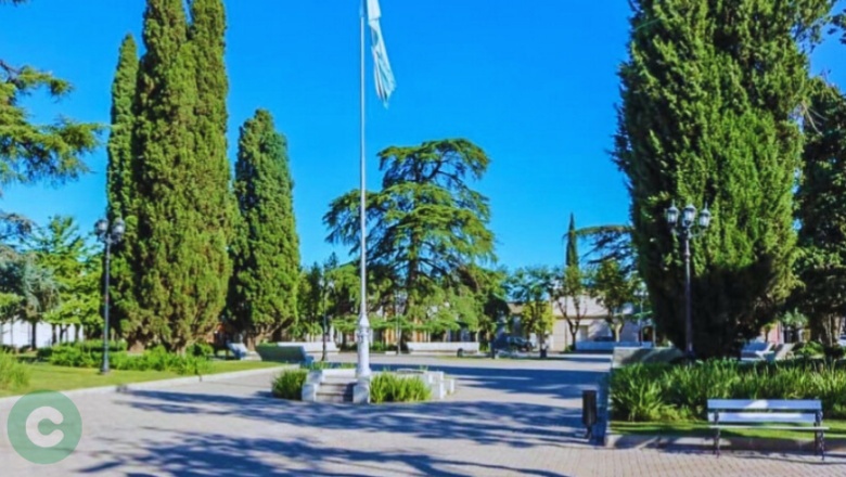 Reemplazarán árboles de la Plaza San Martin