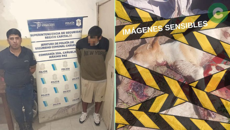 Golpeó a su ex pareja, mató al perro y agredió a una oficial que intentaba detenerlo