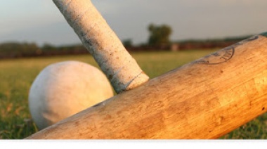 Se autorizó el entrenamiento de caballos de Polo