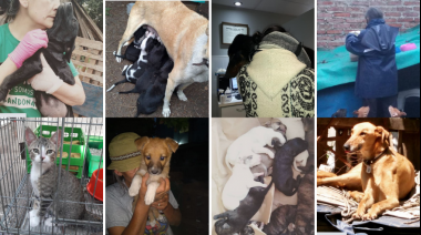 Una denuncia que pone en peligro la vida de cientos de animales