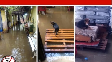 Se volvió a inundar el refugio de animales