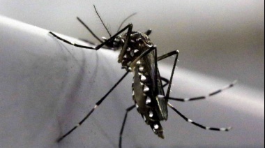 El municipio aseguró que intervino en un posible caso de Dengue