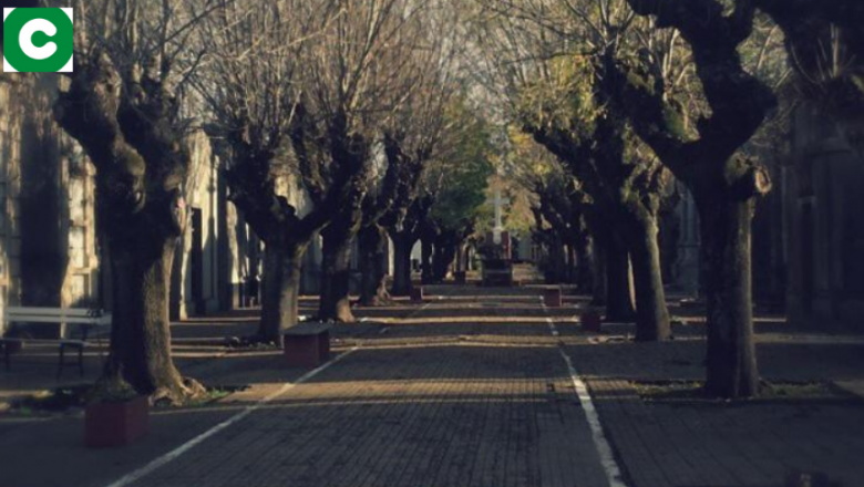 Día del Padre: Se podrá ir al cementerio con turnos