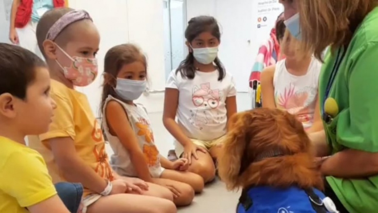 Terapia con perros para Emily