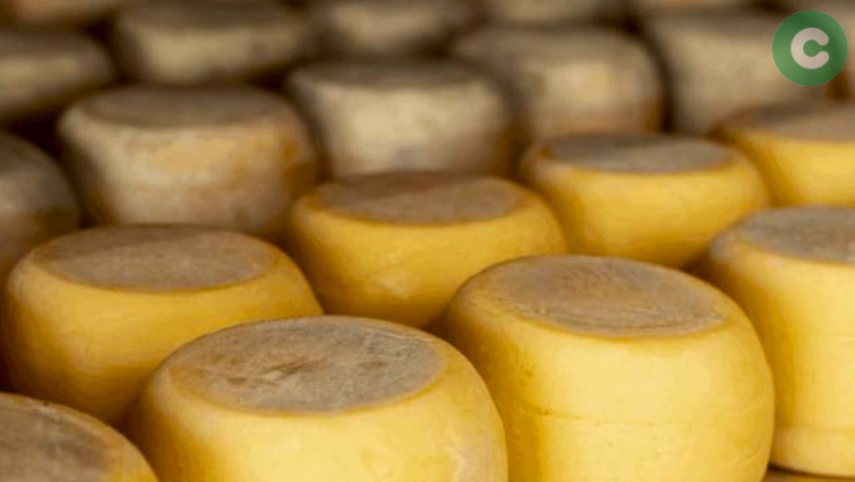 Alerta por brote de listeriosis